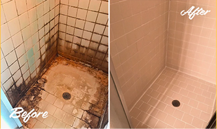 Shower Grout Repair